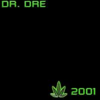 DR. DRE | 2001 (Descarga Directa Disco Completo)